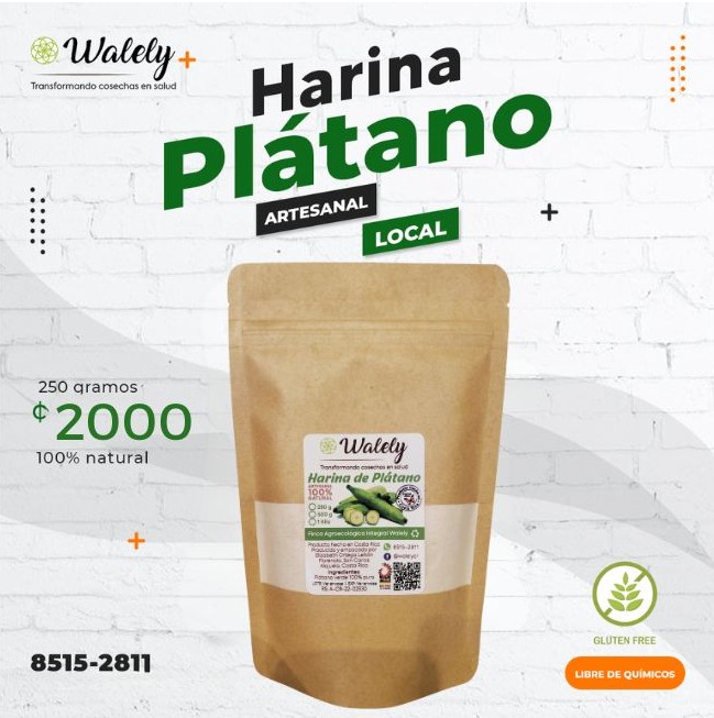 Producto 11